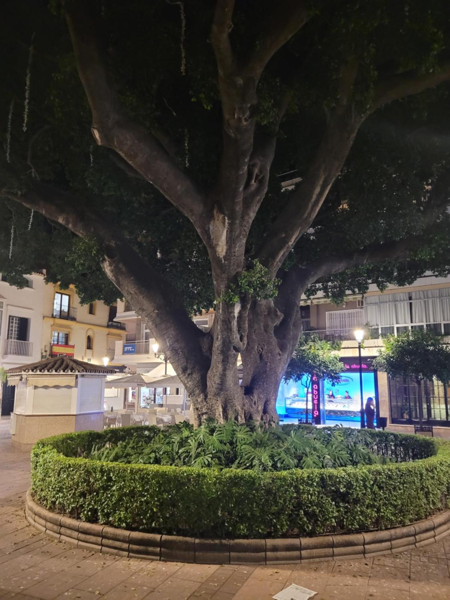 Fuengirola Center Sweet&Beach Eksteriør billede